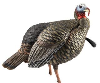 Avian X High Jake Turkey Heave Duty Realism Decoy features a multi-color design